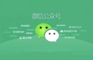 倪叶明蓝海公众号矩阵项目训练营