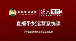 飞樊《抖音直播带货运营系统课》