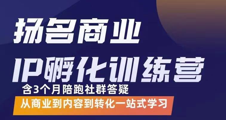 王杨名老师的商业IP孵化训练营，从商业到内容到转化一站式学