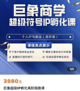 巨象商学超级符号IP孵化高阶陪跑课