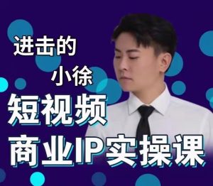 进击的小徐-个人IP商业实操课，价值1980