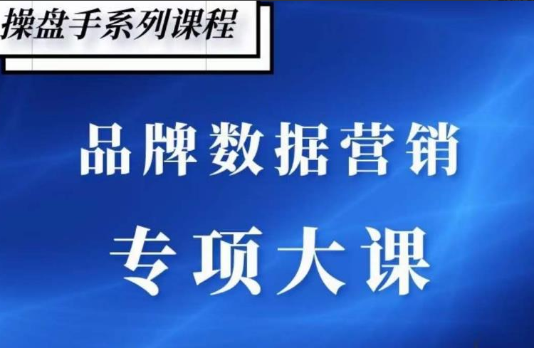 品牌医生·操盘手系列课-品牌数据营销专项大课