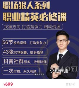少毅老师-职场狠人系列-职业精英必修课  