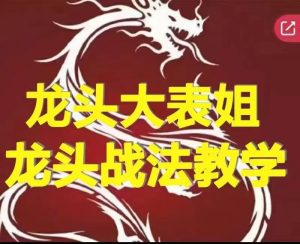 龙头大表姐-龙头股战法视频课程