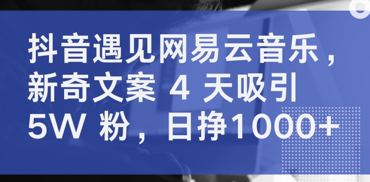 抖音遇见网易云音乐，新奇文案 4 天吸引 5W 粉，日挣1000+