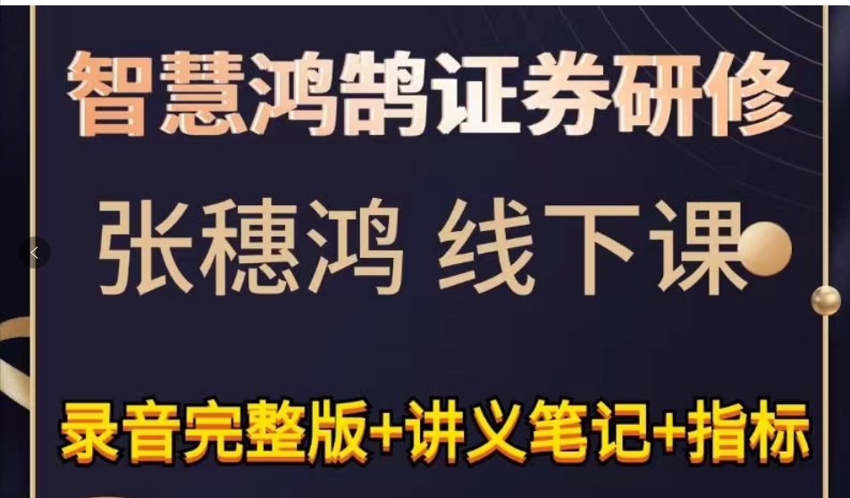 财学堂张穗鸿线下课密训营 音频 笔记 讲义 指标