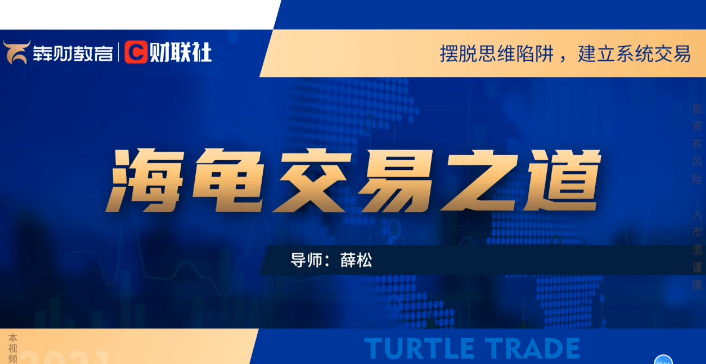 财联社薛松海龟交易之道视频30集