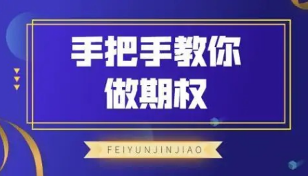 飞云金教《手把手教你做期权》