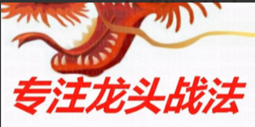 2025新更龙头战法系列课程