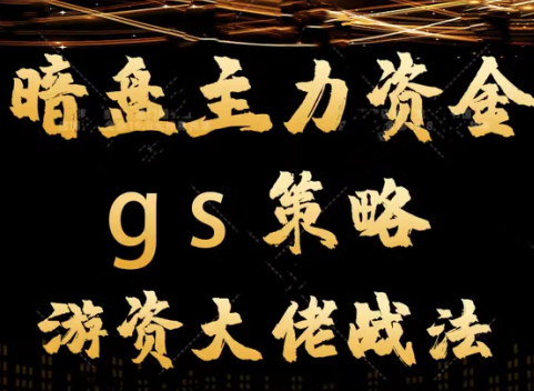 平民翻身暗盘主力资金 gs策略方法 游资大佬战法教学视频